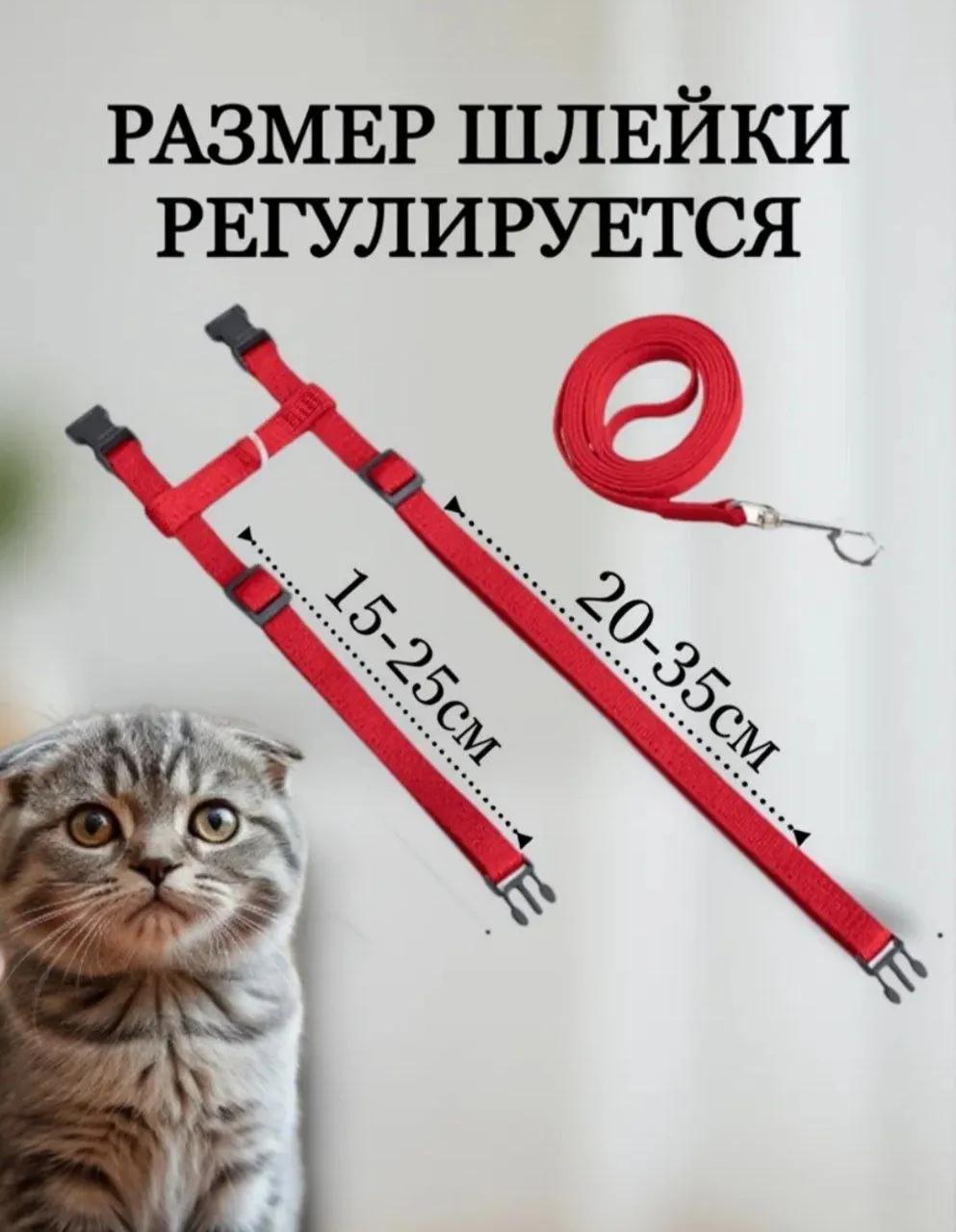 Поводок для котов