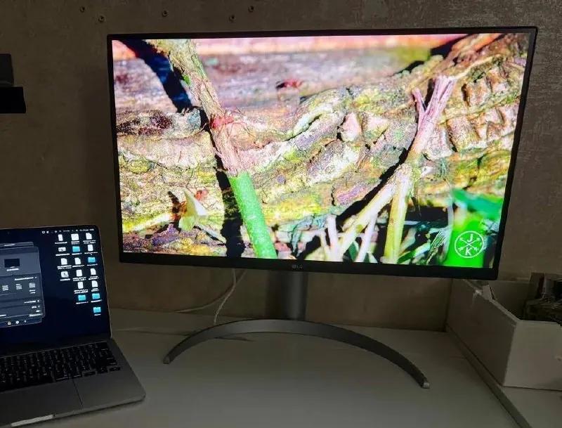 Монитор LG UltraFine 27UP850K 27 дюймов