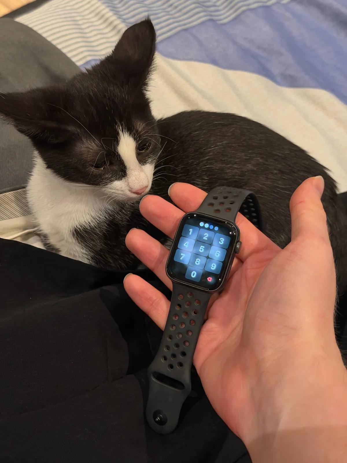 Apple Watch Nike SE 44 мм