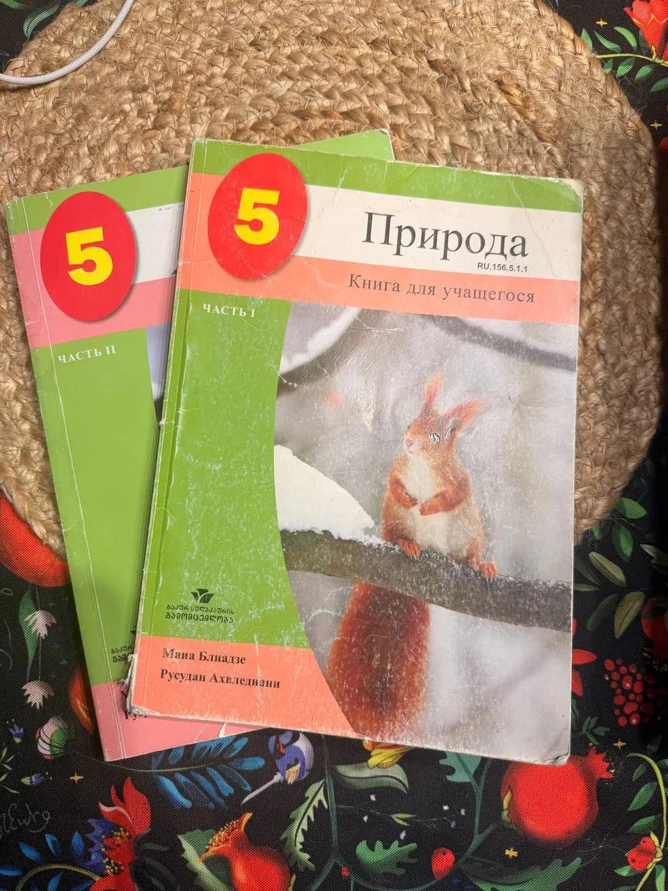 Комплект учебников за 5 класс