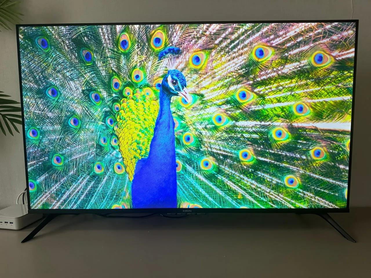 Телевизор Xiaomi, гантели и другие вещи