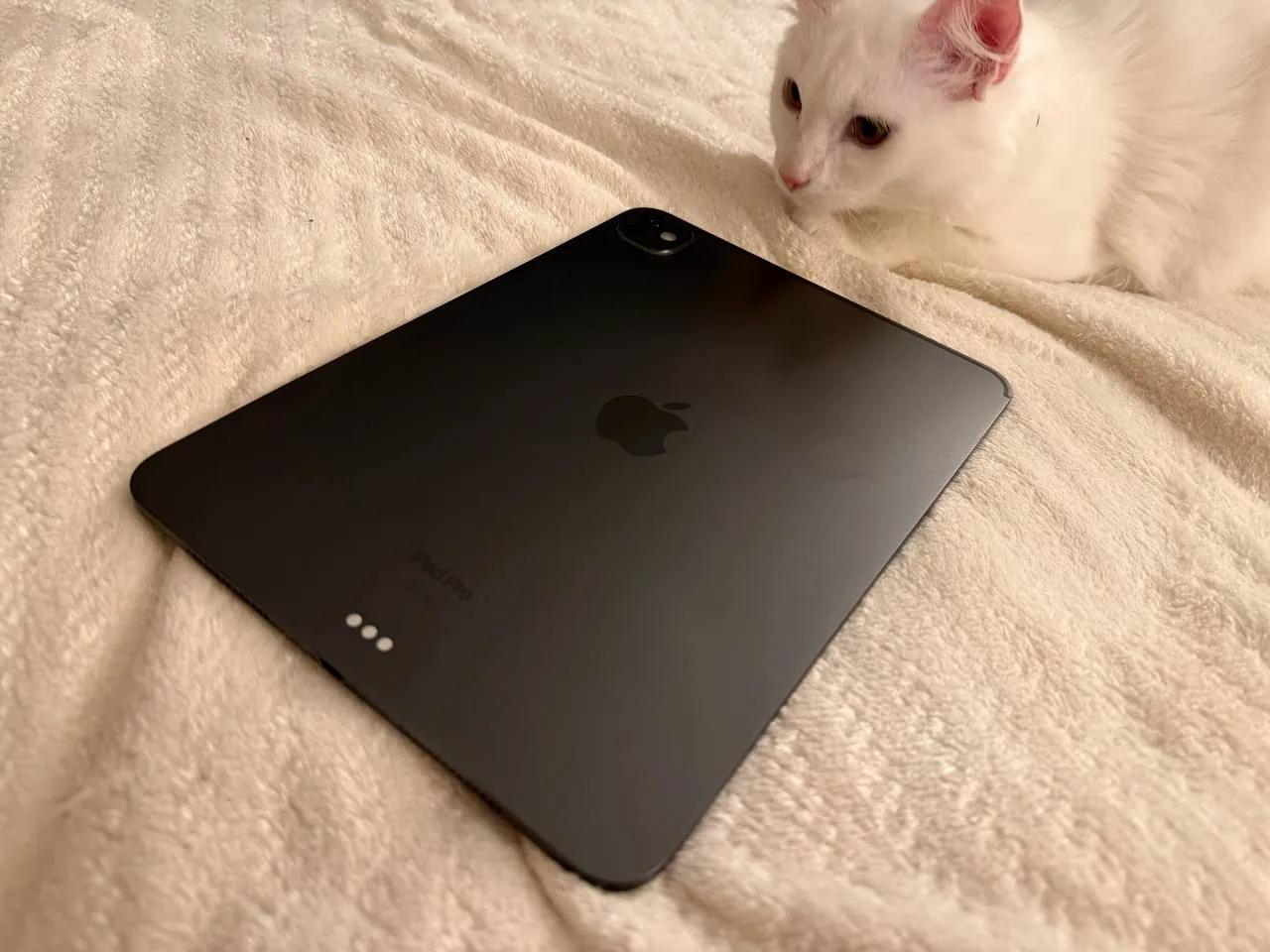 IPad Pro 11 M4 с потёртостями