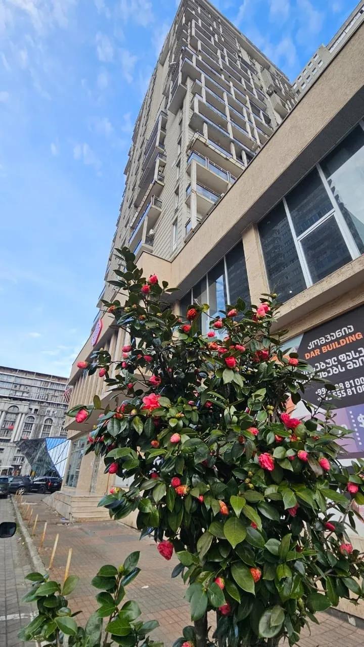 Квартира 65 м² с видом на море в Батуми