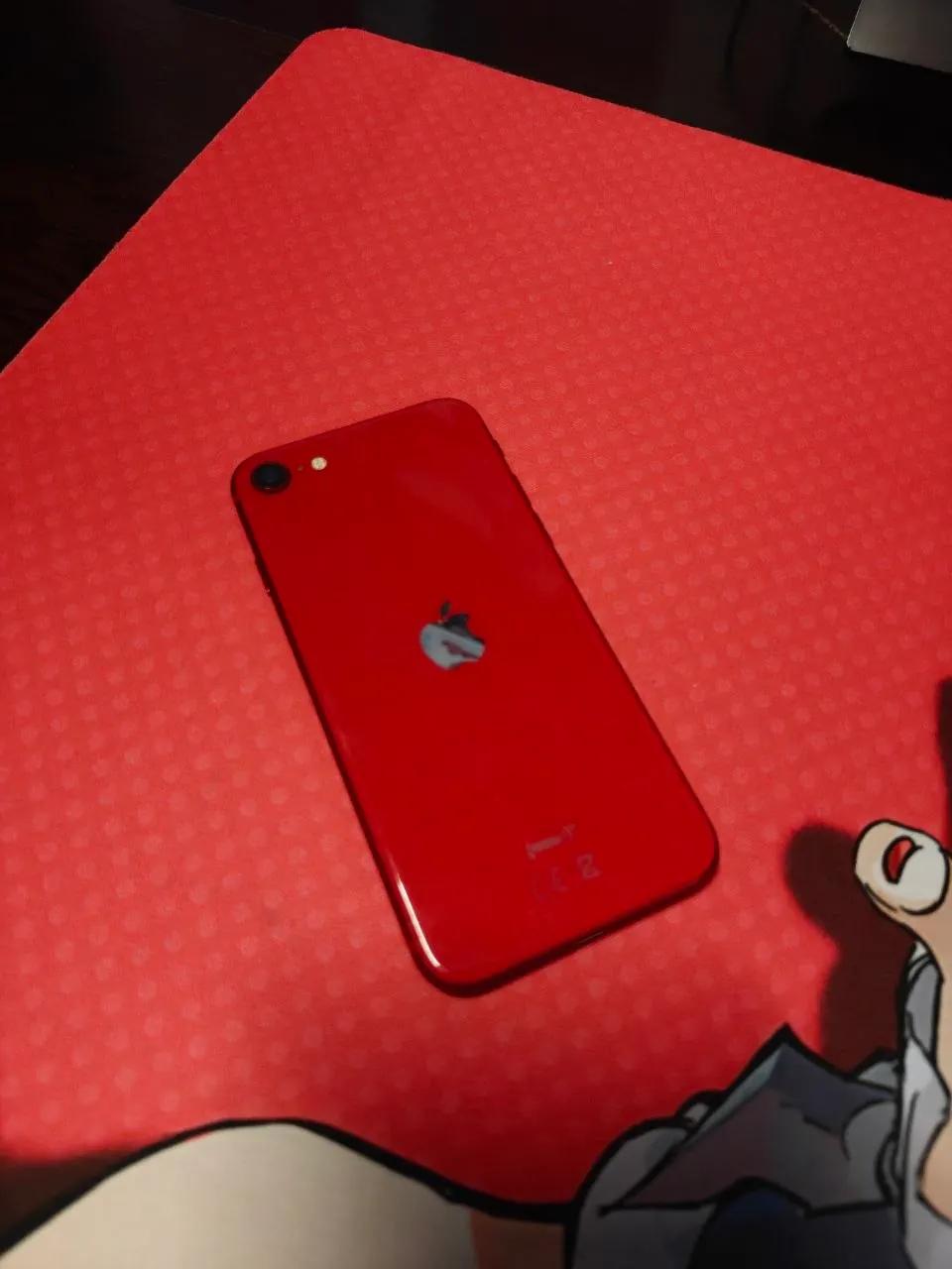 IPhone SE 2020 красный