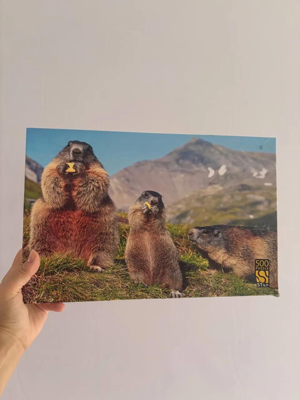 Пазл Step Puzzle «Сурки», 500 деталей