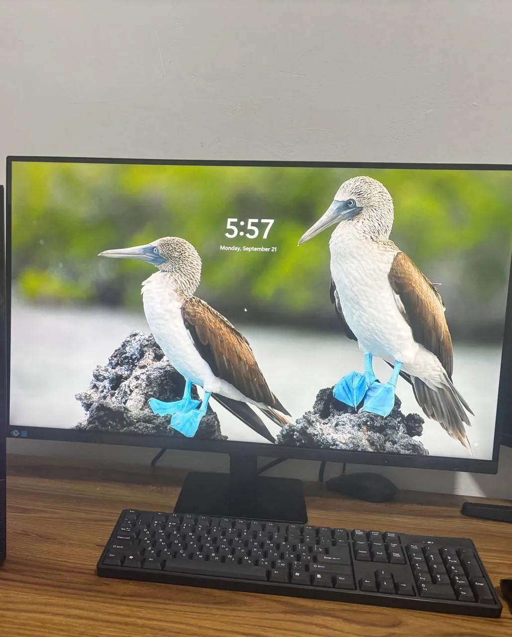 Монитор Samsung ViewFinity S7 32 дюйма 4K