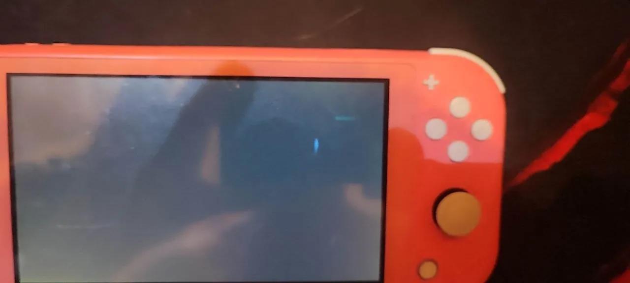 Nintendo Switch Lite с картриджем Super Smash Bros