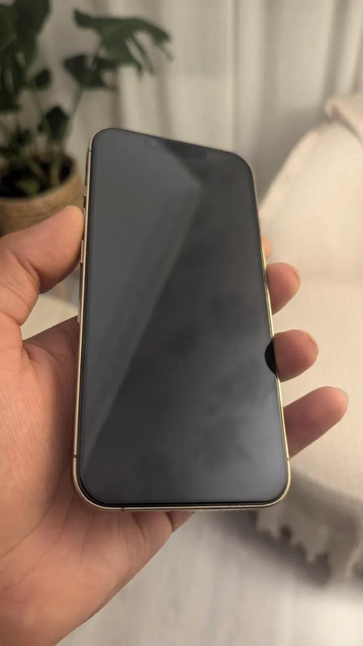 IPhone 13 Pro 256 ГБ