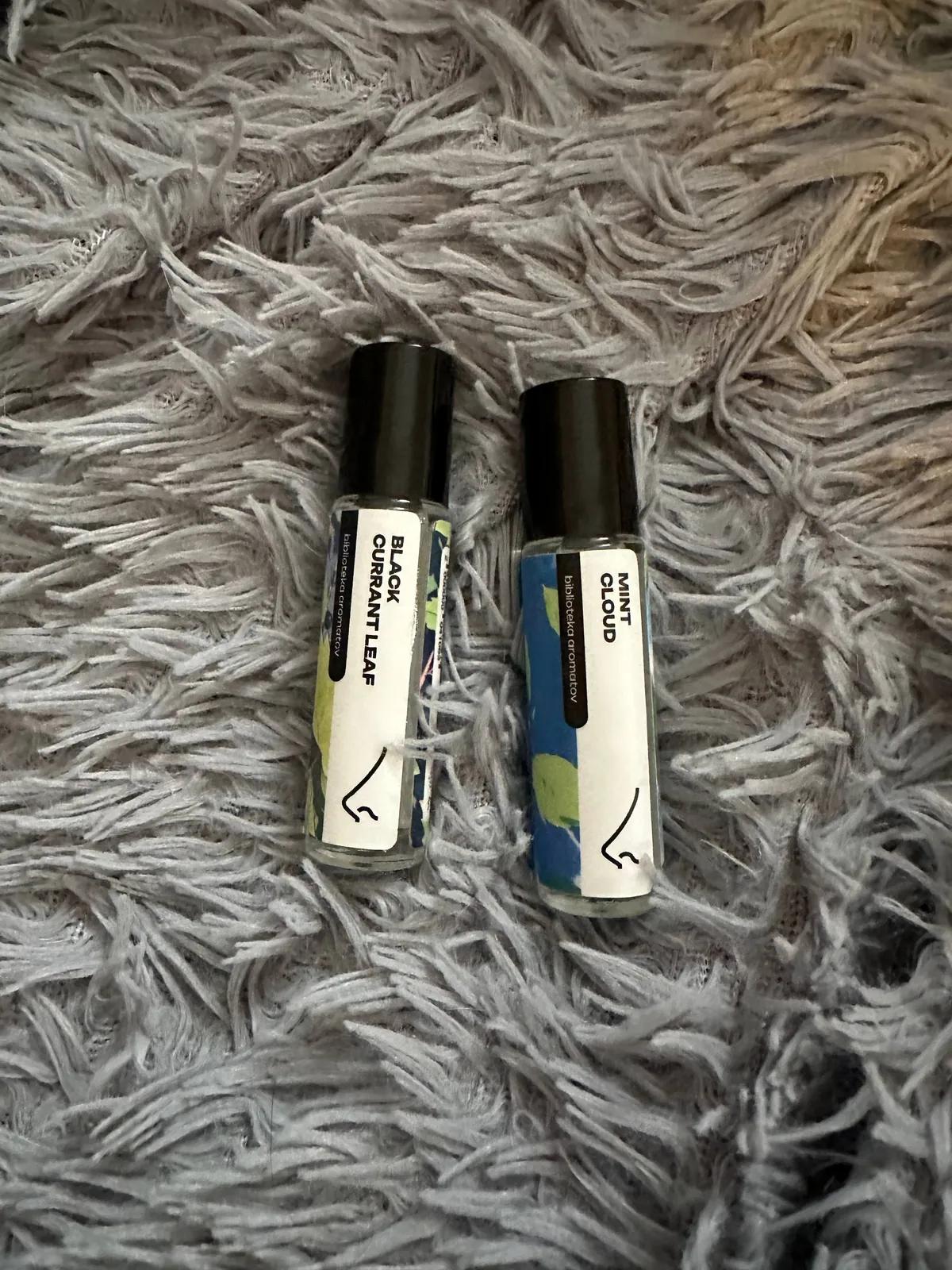 Духи роликовые и сумка DKNY