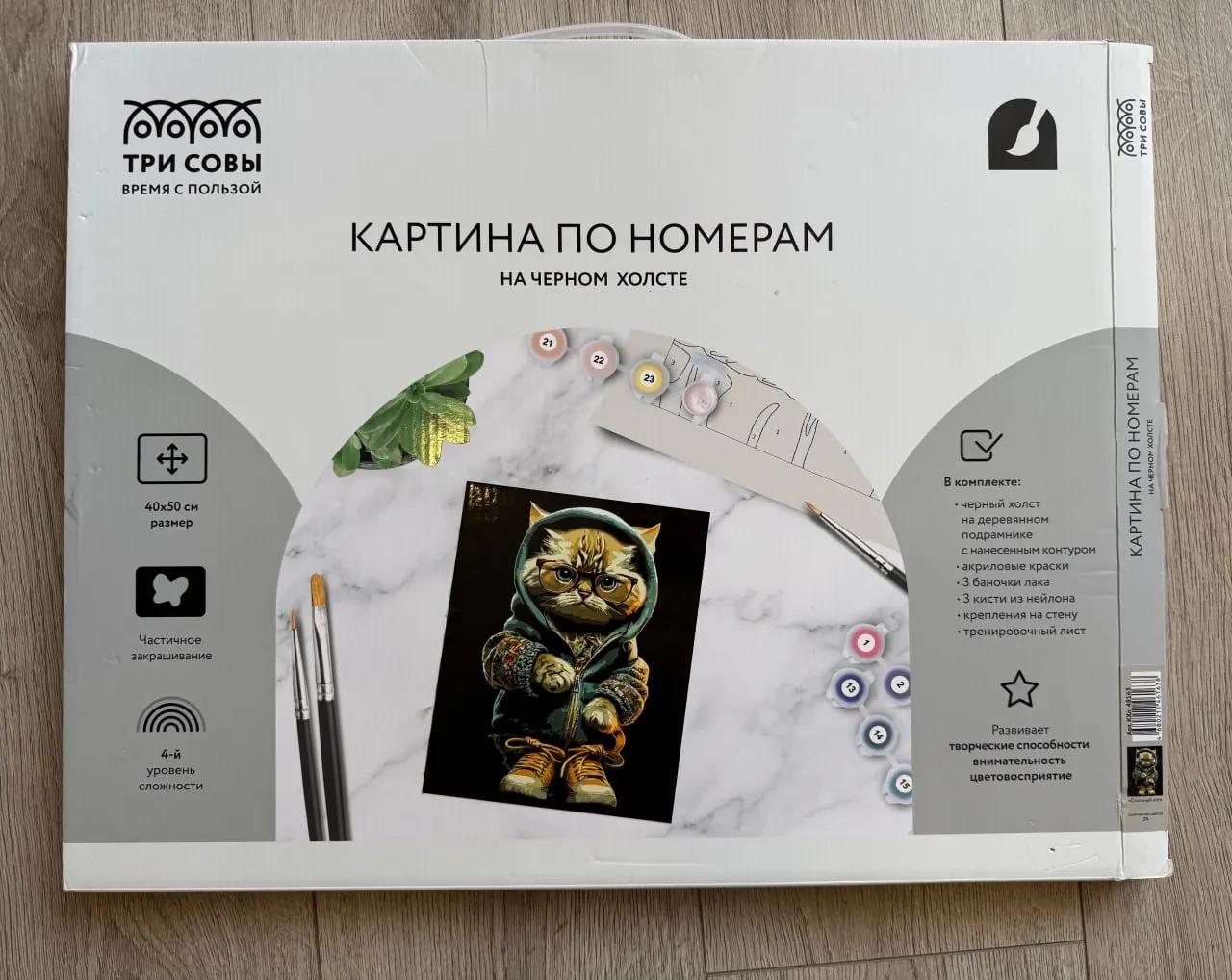 Картина по номерам 40х50 см с материалами