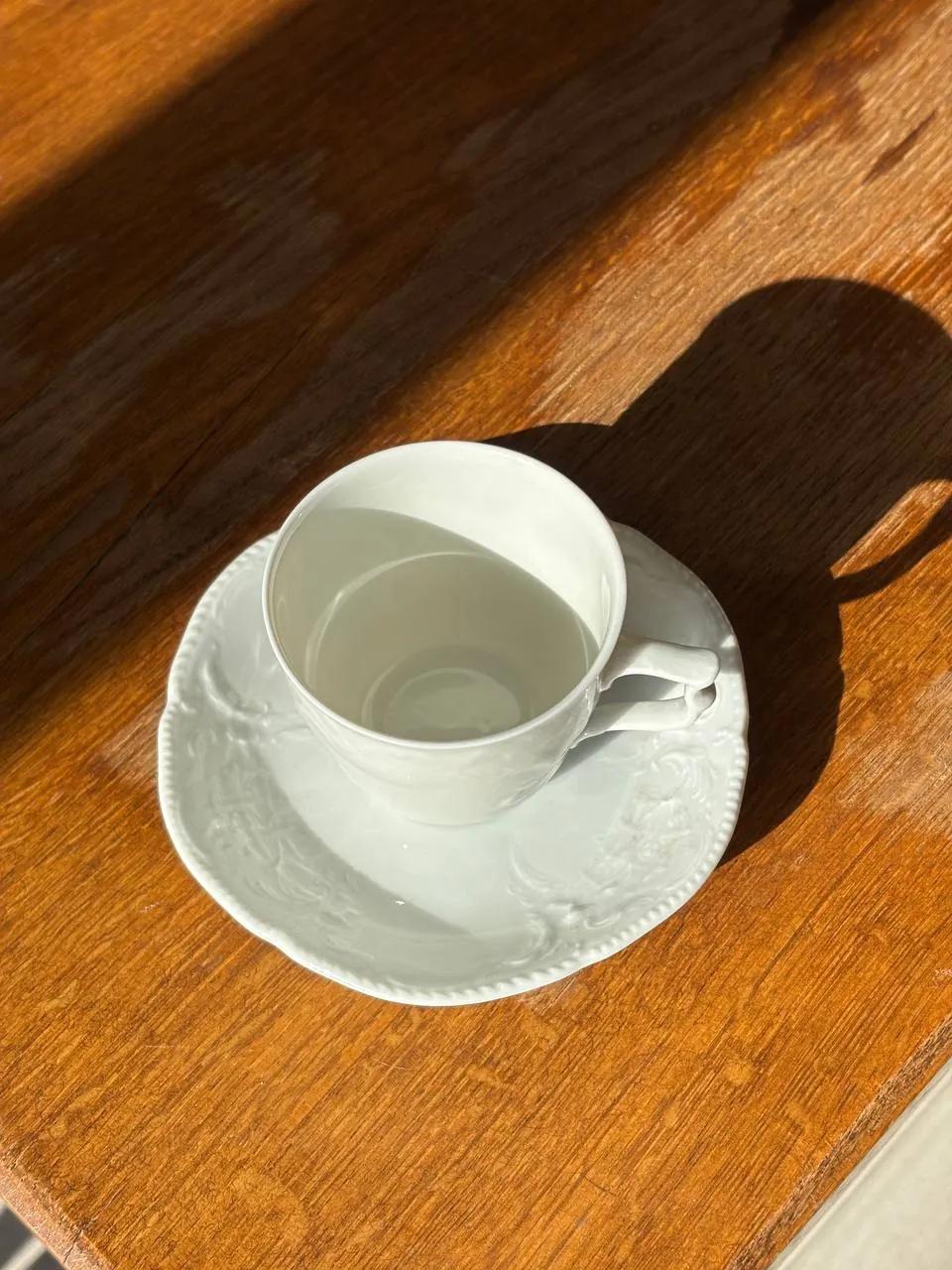 Кофейная пара Rosenthal Classic