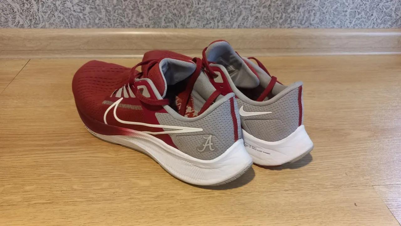 Кроссовки Nike Pegasus Alabama коллаб