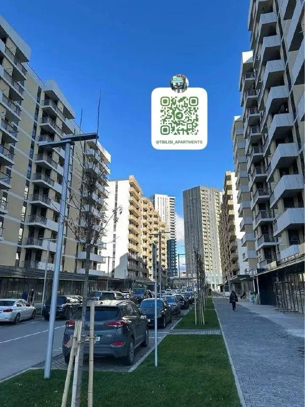 Миниатюра 10