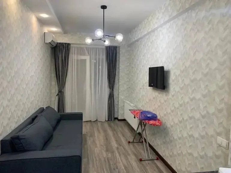 Миниатюра 1
