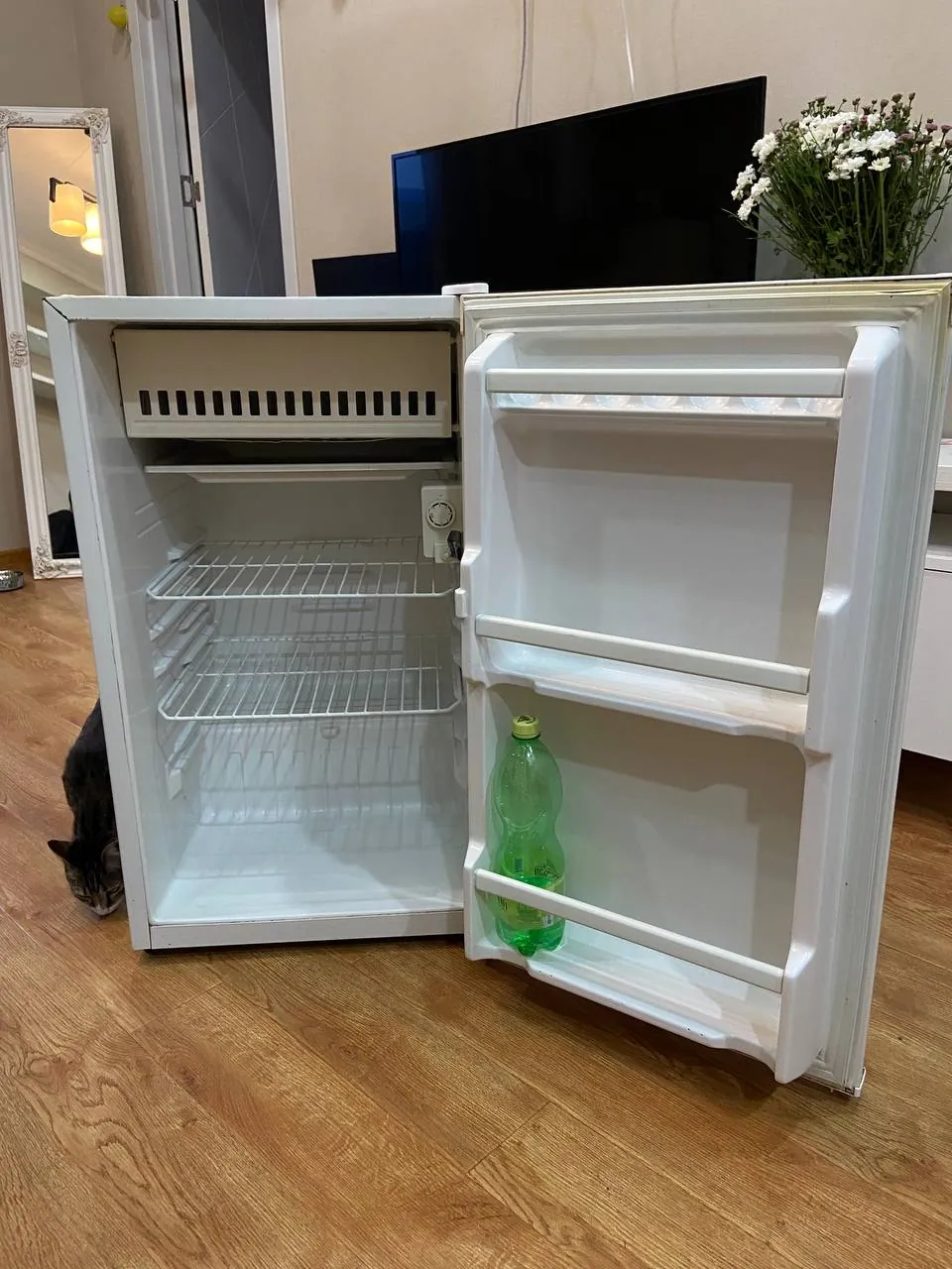 Миниатюра 3