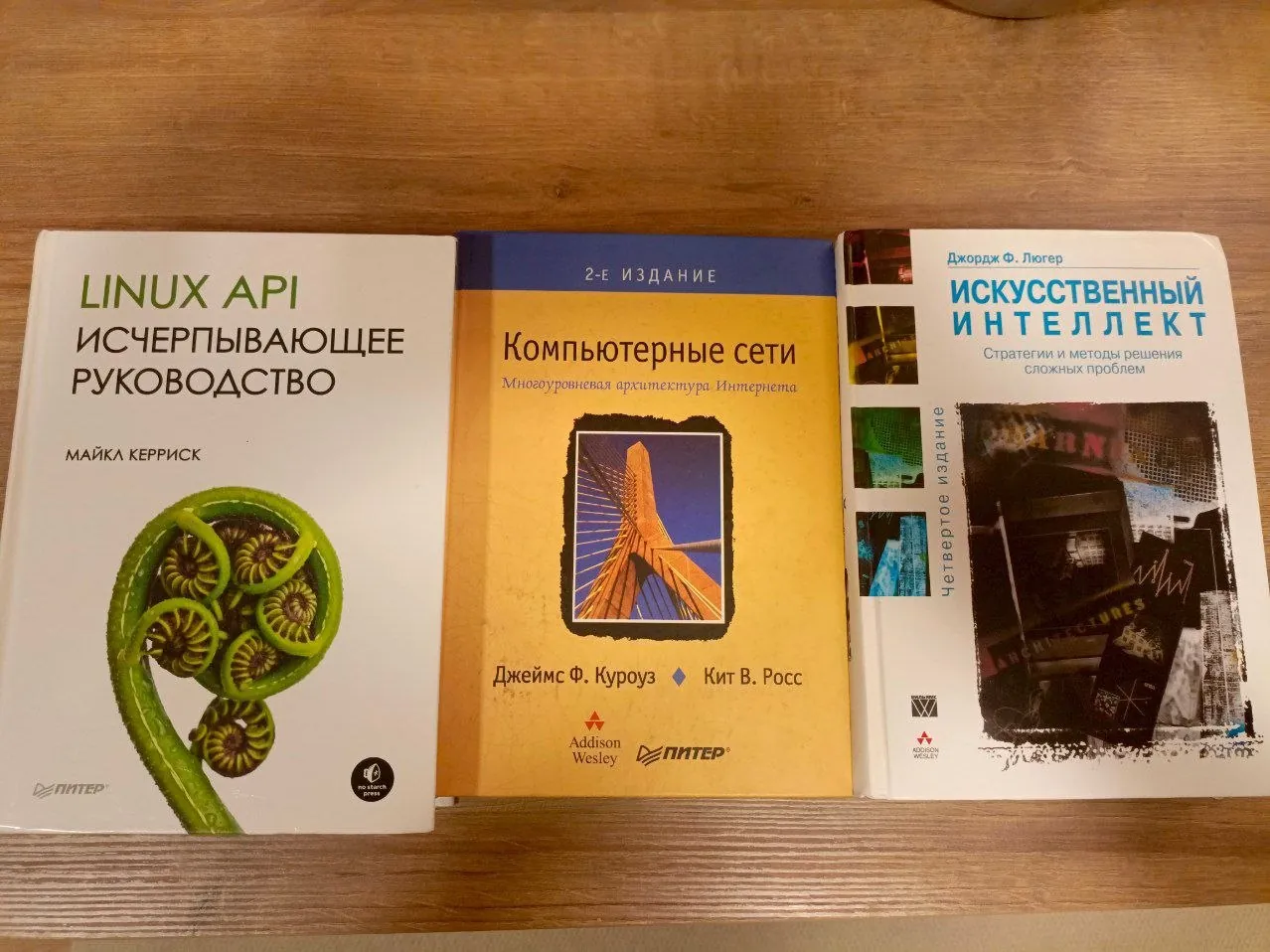 Книги по программированию: сети, ИИ, Linux 1