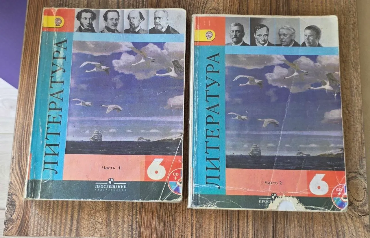Учебники 6 класс русский и литература 2