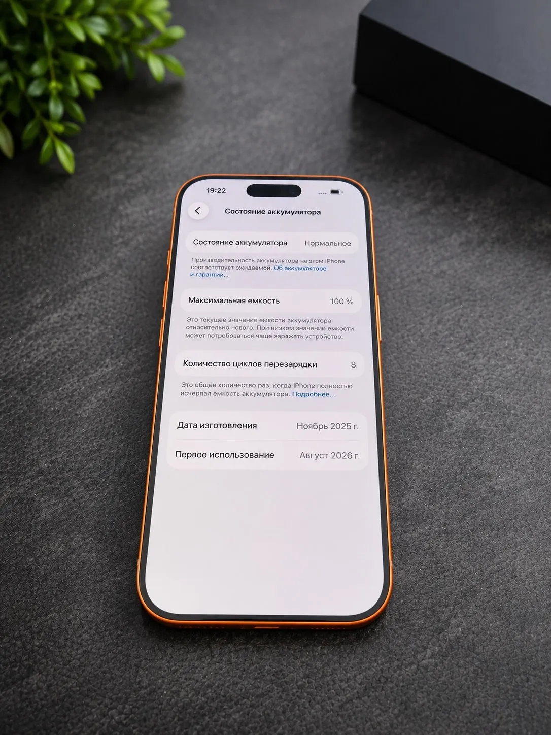 IPhone 17 Pro 256 ГБ Orange 2