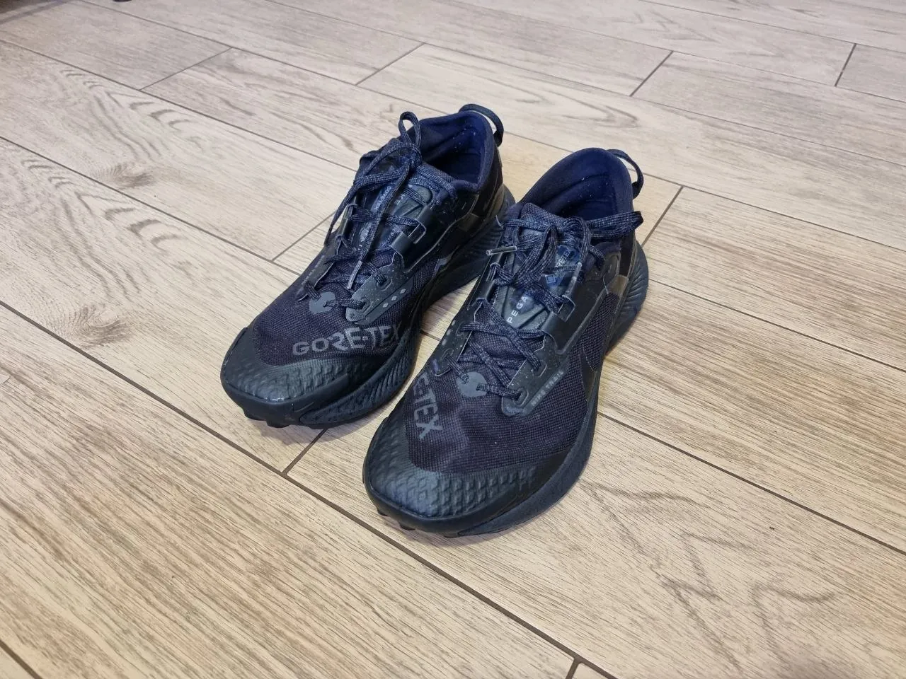 Кроссовки Nike Pegasus Trail 5 GORE-TEX размер 43 2
