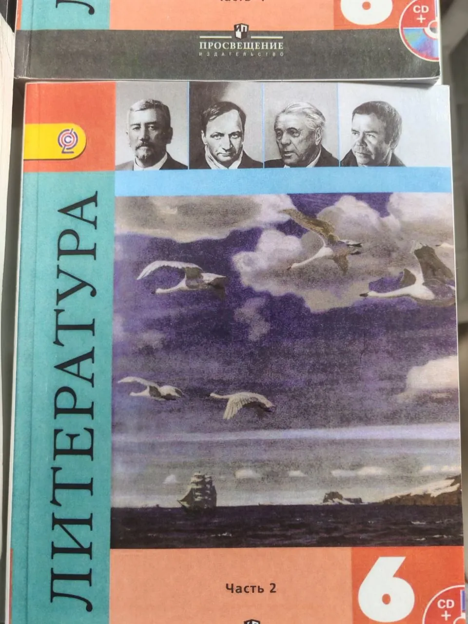 Книги за 6 класс 3