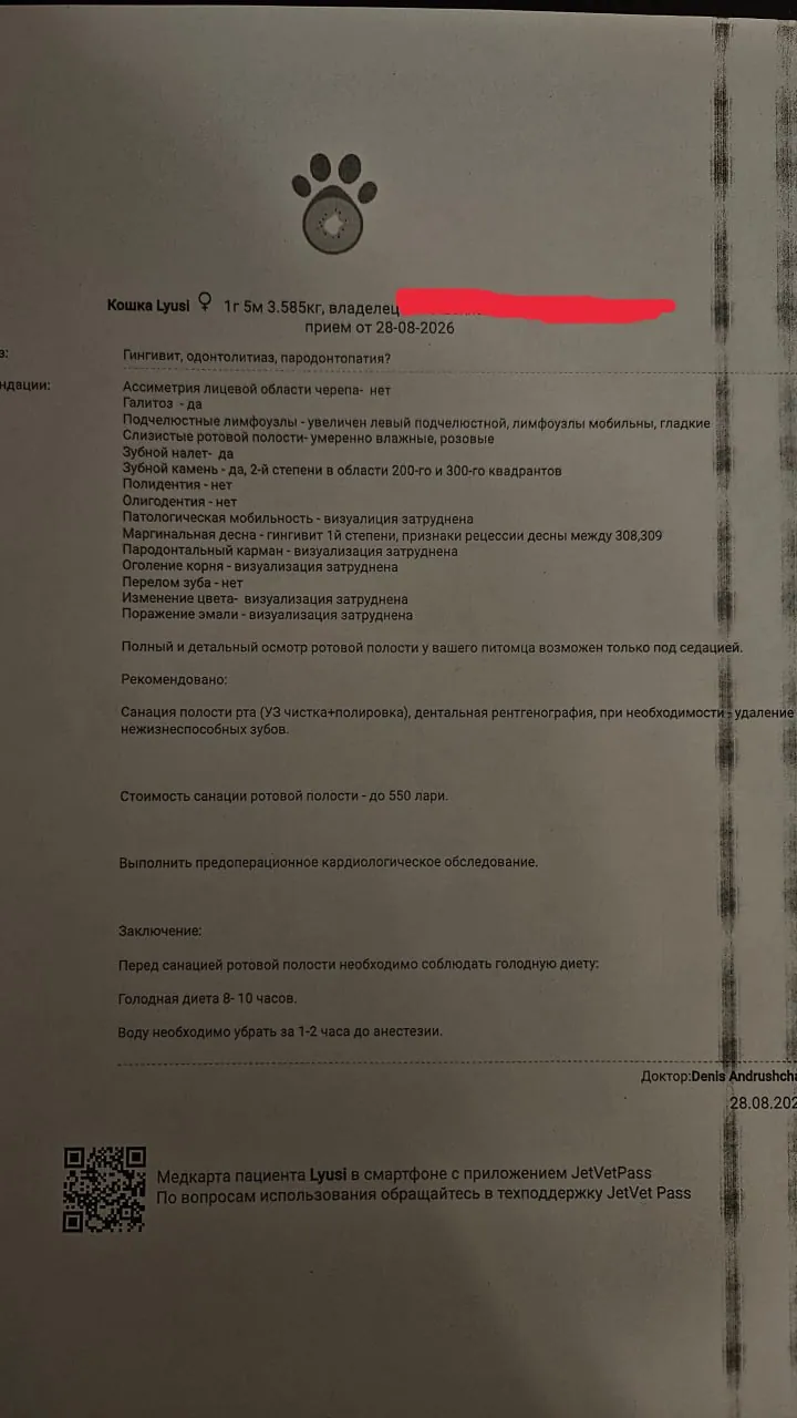 Сбор на срочную операцию кошке Люси 5
