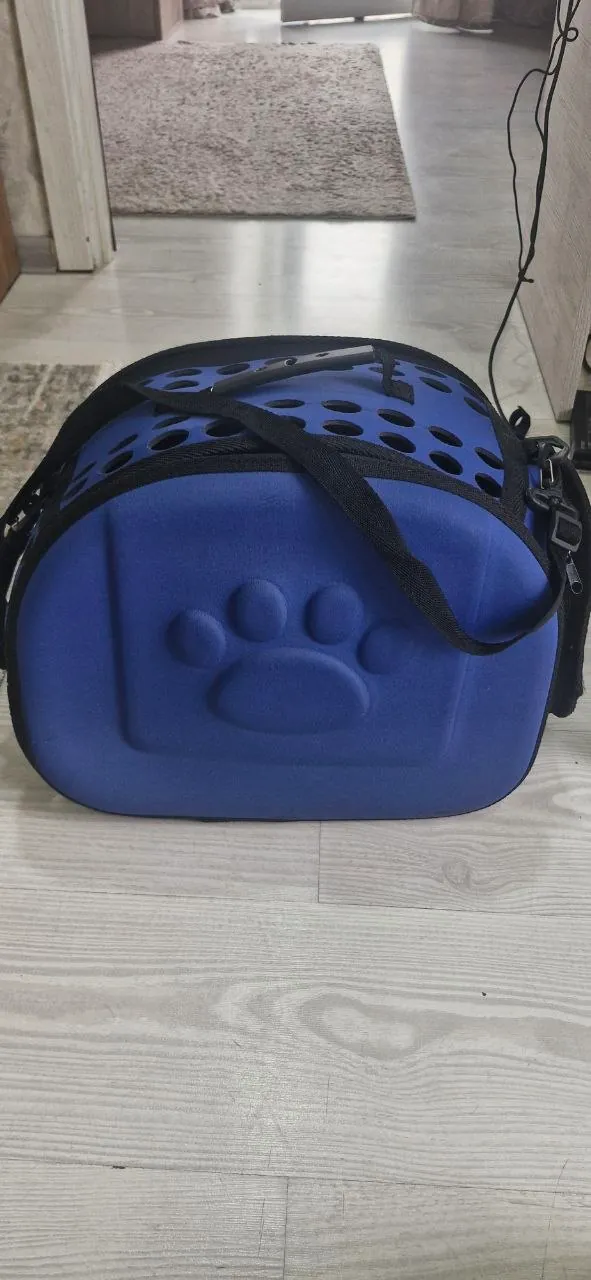 Миниатюра 1