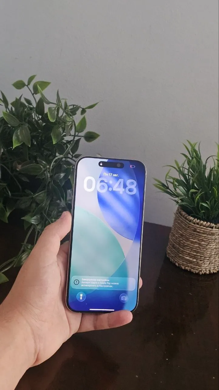 IPhone 16 Pro Max 256GB 4