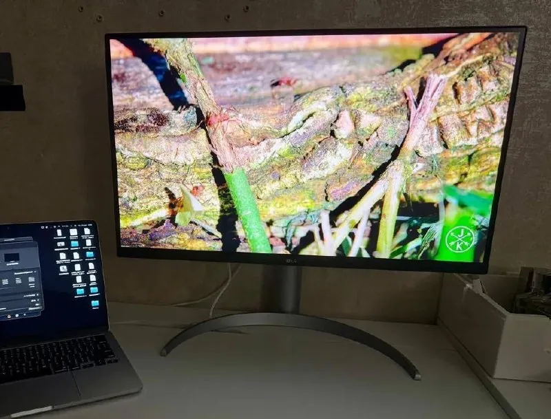 Монитор LG UltraFine 27UP850K 27 дюймов 1