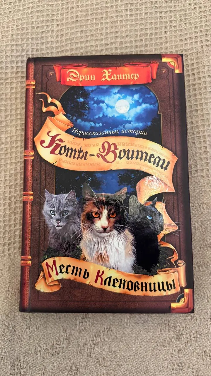 Книги Коты-воители и История Остролистой 2