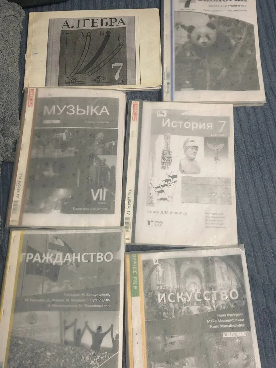 Учебники за 7 класс 1