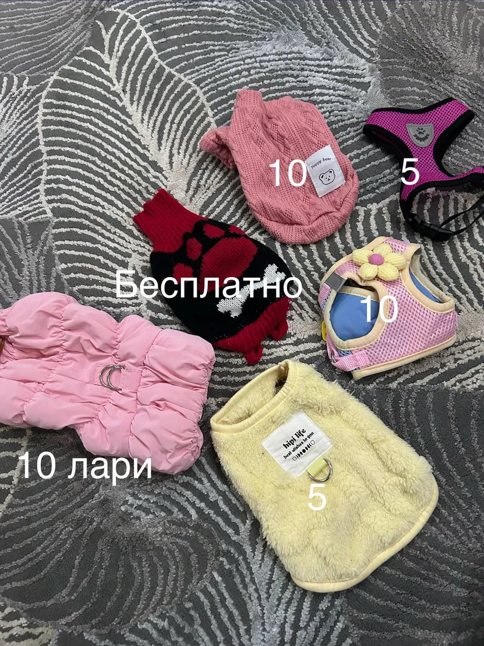 Одежда и шлейка для собаки XS 1