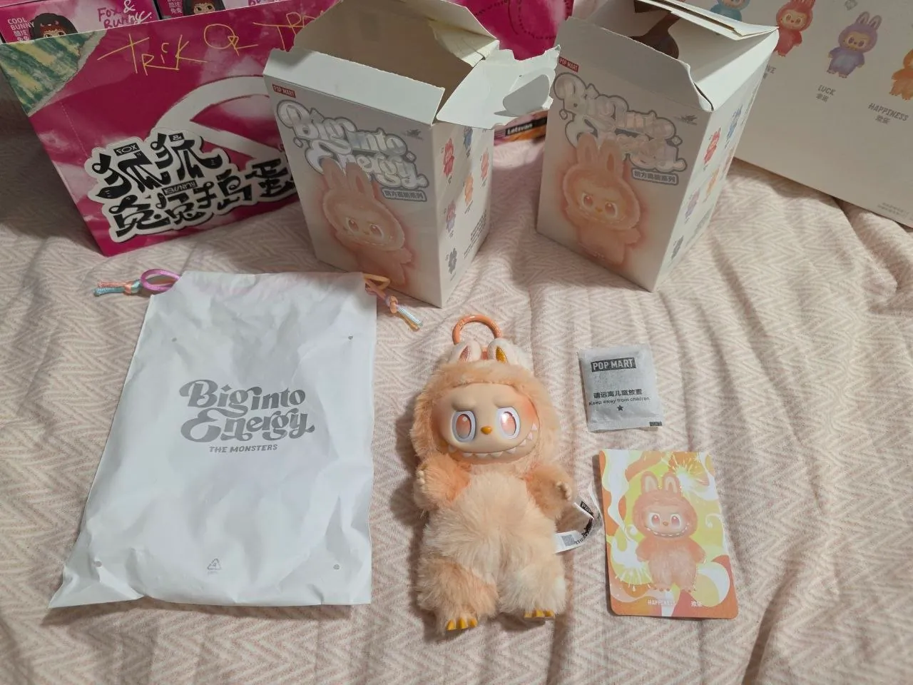 Коллекционные фигурки Pop Mart Labubu 1
