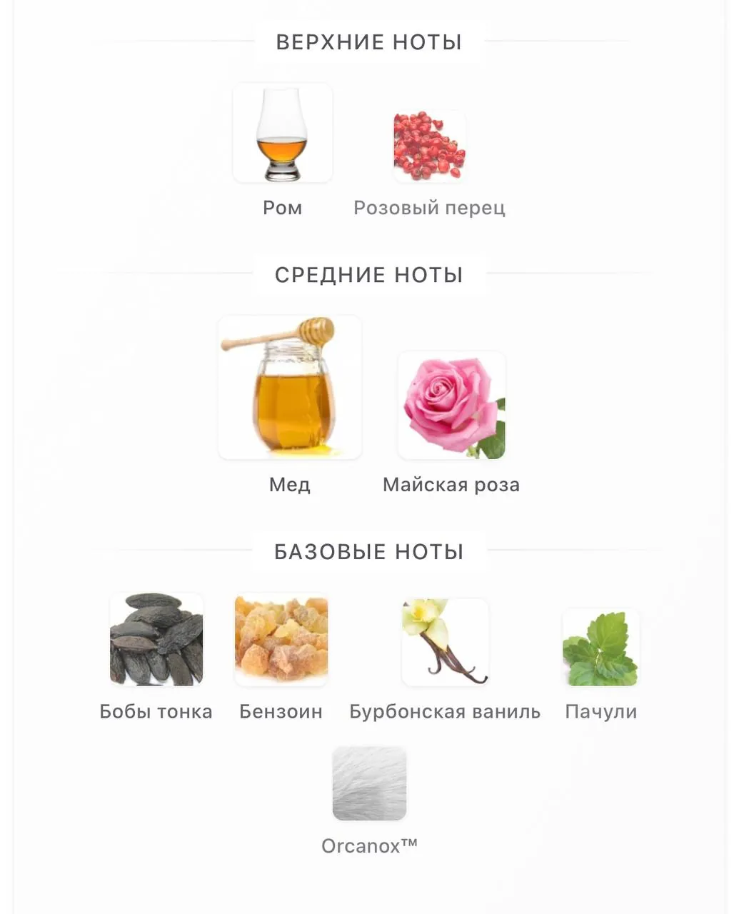 Парфюм BTSO Mad Honey 50 мл 3