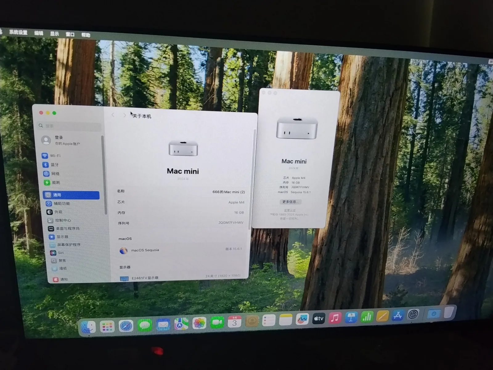 Mac mini M4, 16 ГБ, 256 ГБ SSD 2