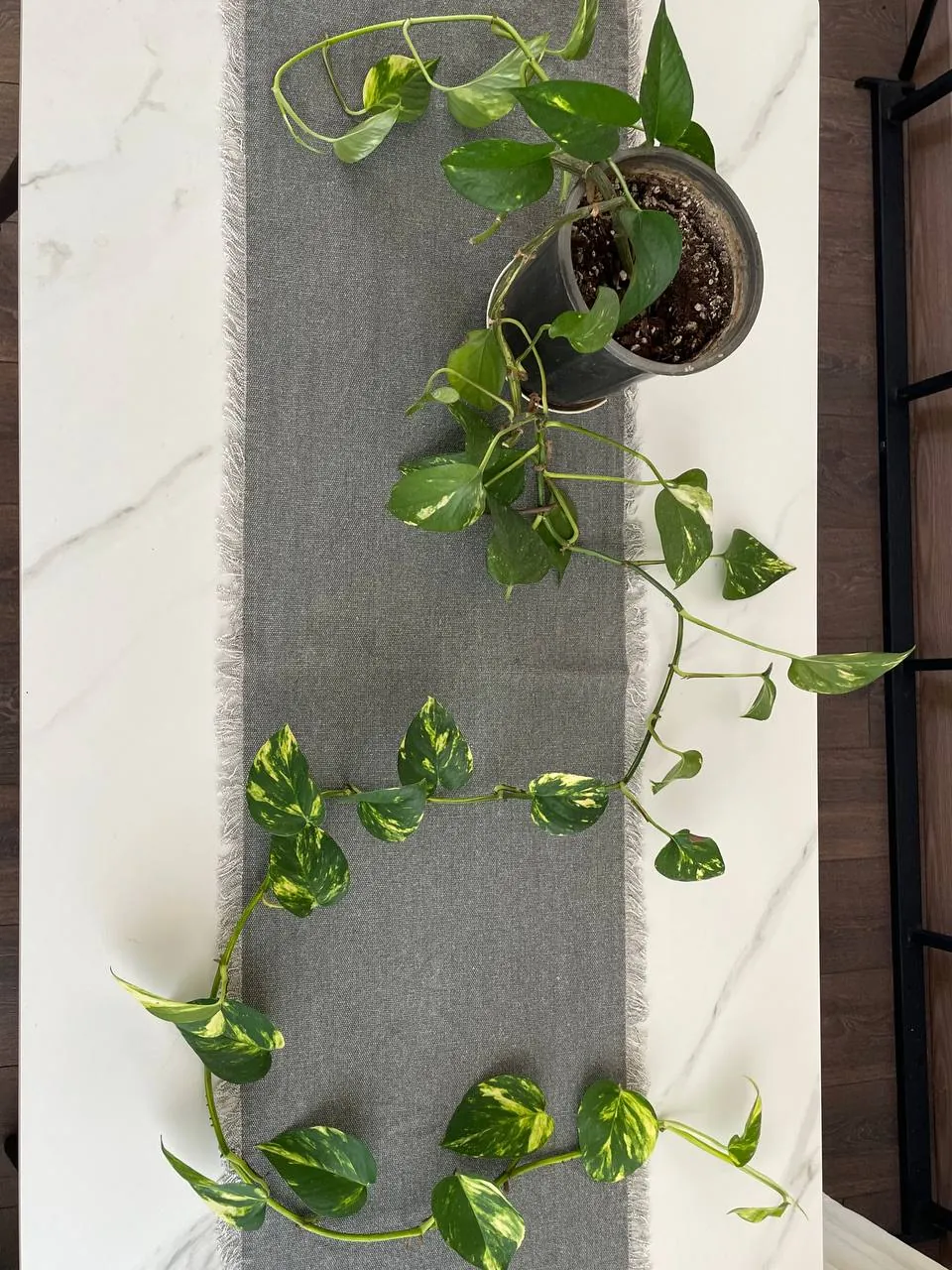 Миниатюра 4