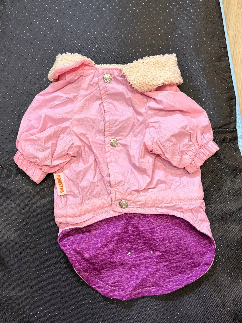 Тёплая одежда для собаки, набор 5 вещей 10