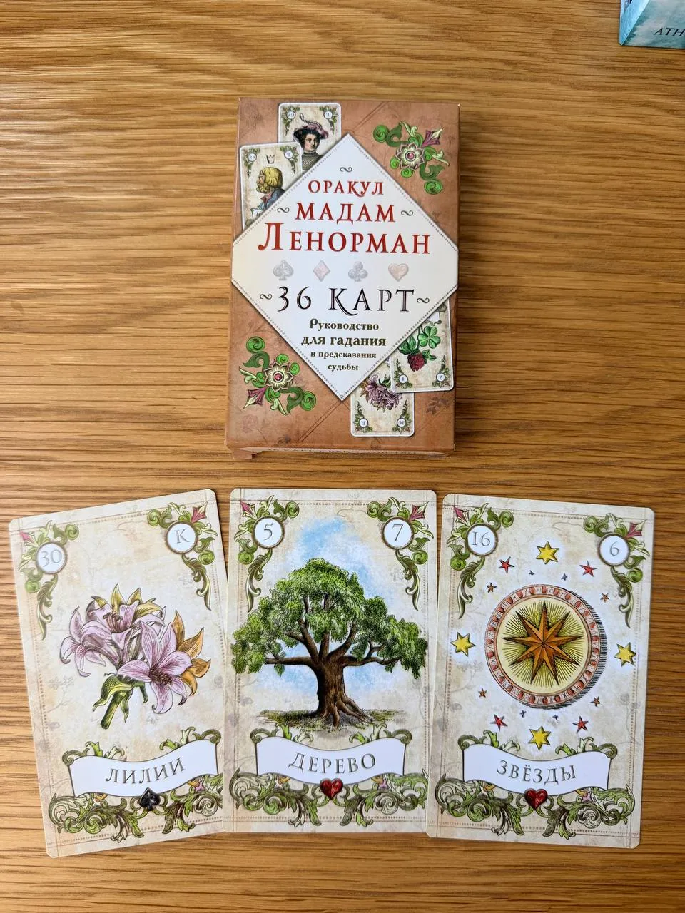 Миниатюра 5