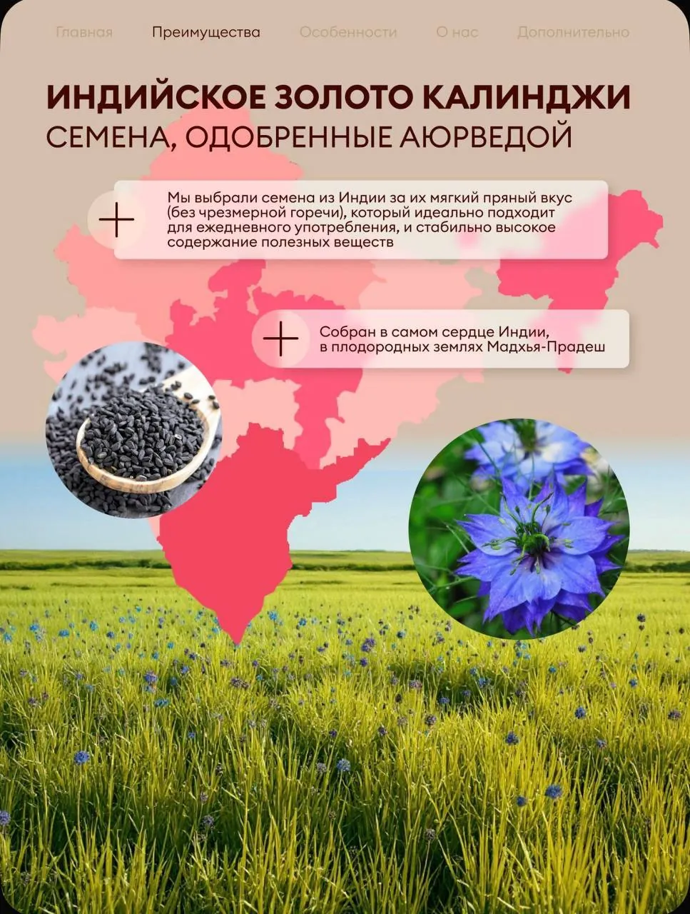 Масло чёрного тмина РусСвет, 100 мл 5
