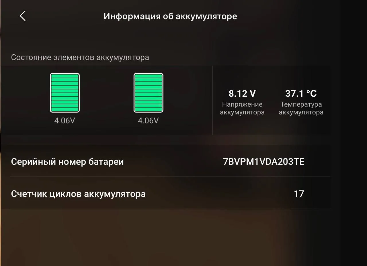 Миниатюра 6