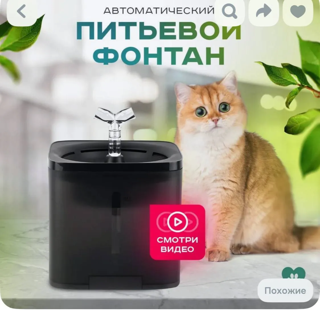 Автокормушка и фонтанчик для кошек и собак 3