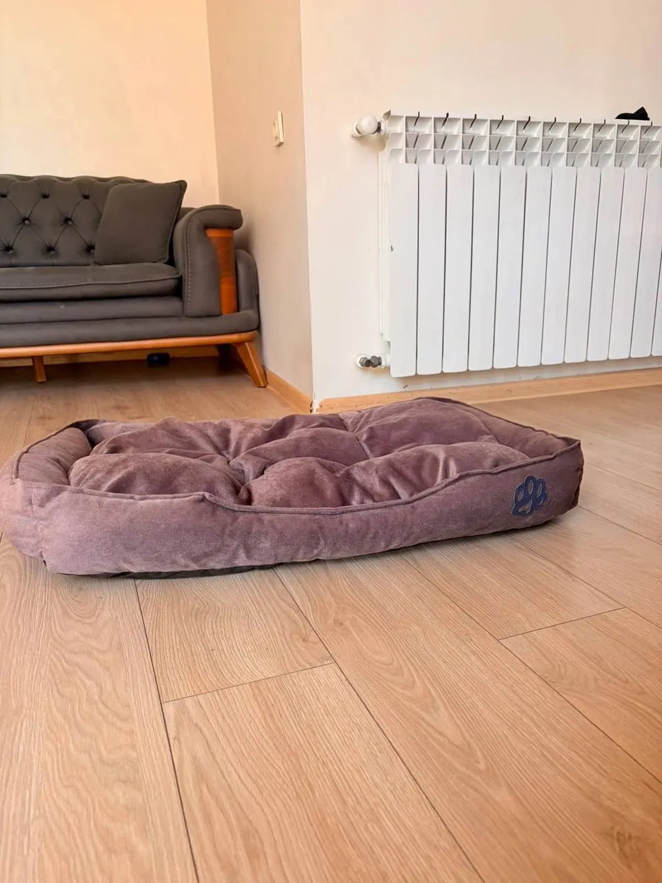 Миниатюра 2