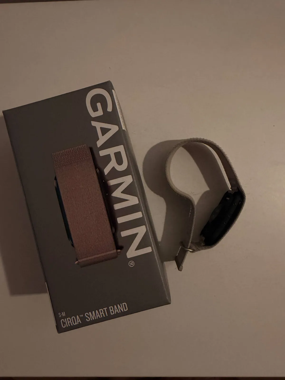 IPad Pro 11 M4 и Garmin Cirqa трекер 6