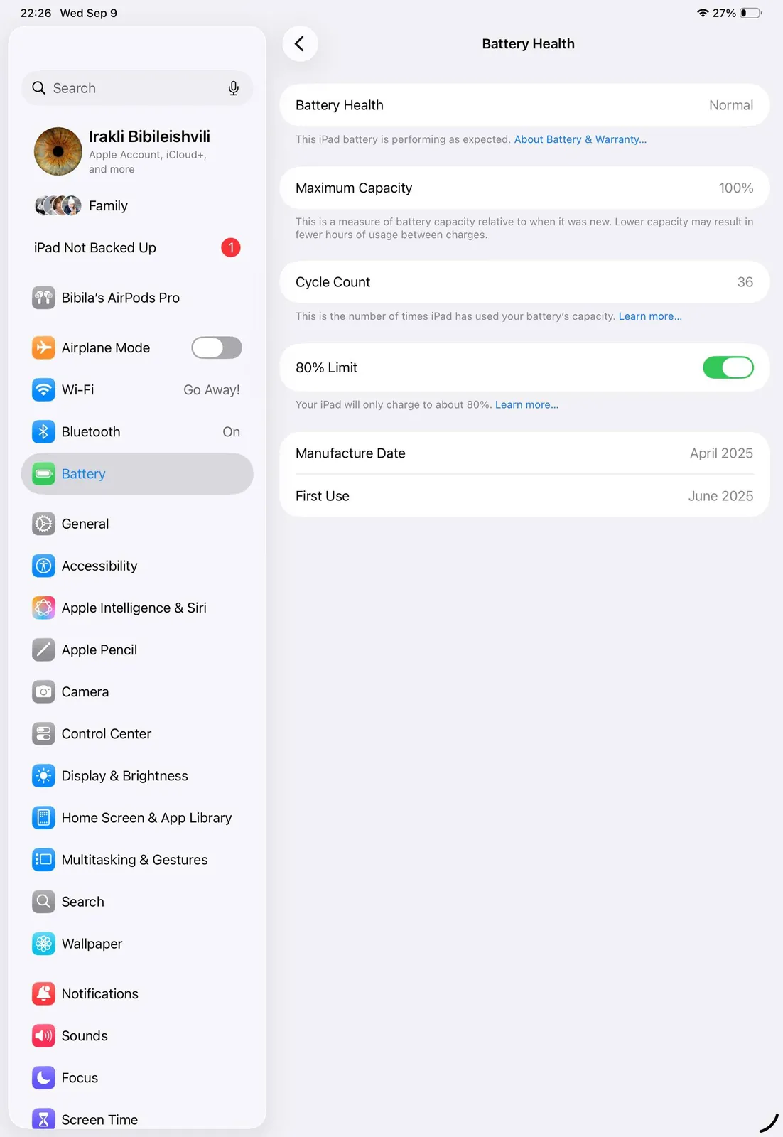 IPad Pro 11 M4 и Garmin Cirqa трекер 2