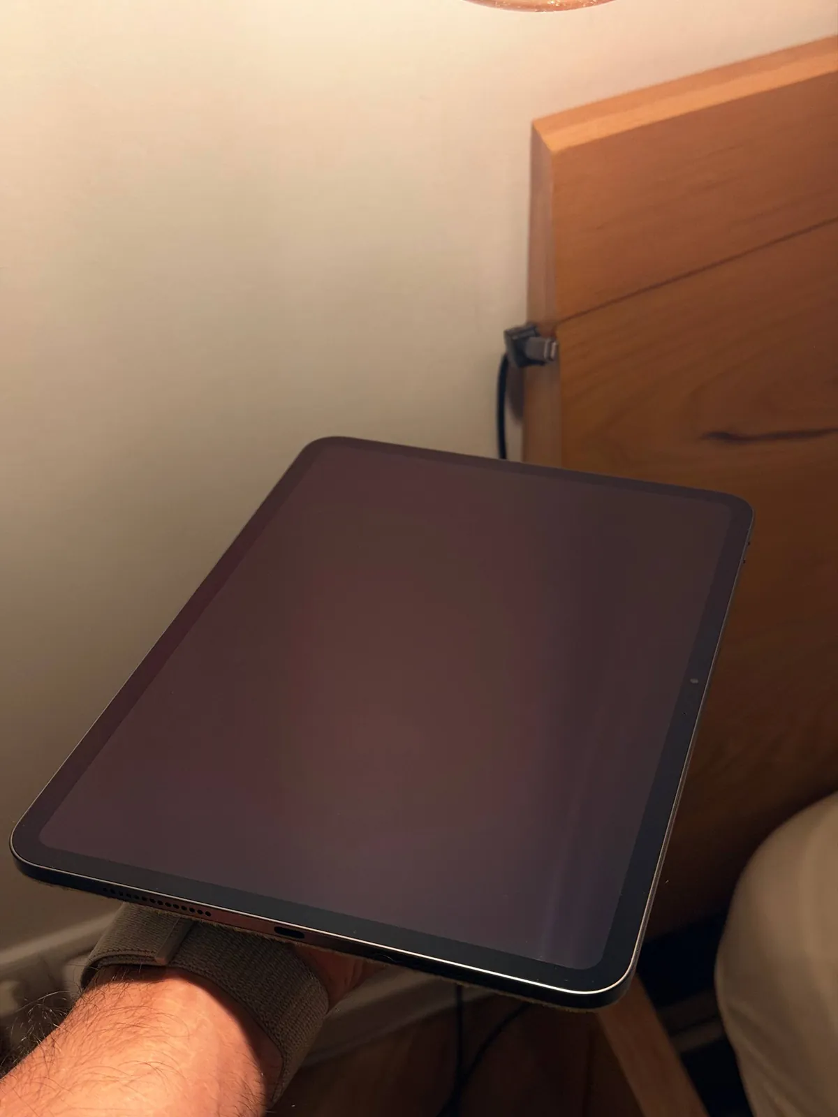 IPad Pro 11 M4 и Garmin Cirqa трекер 5