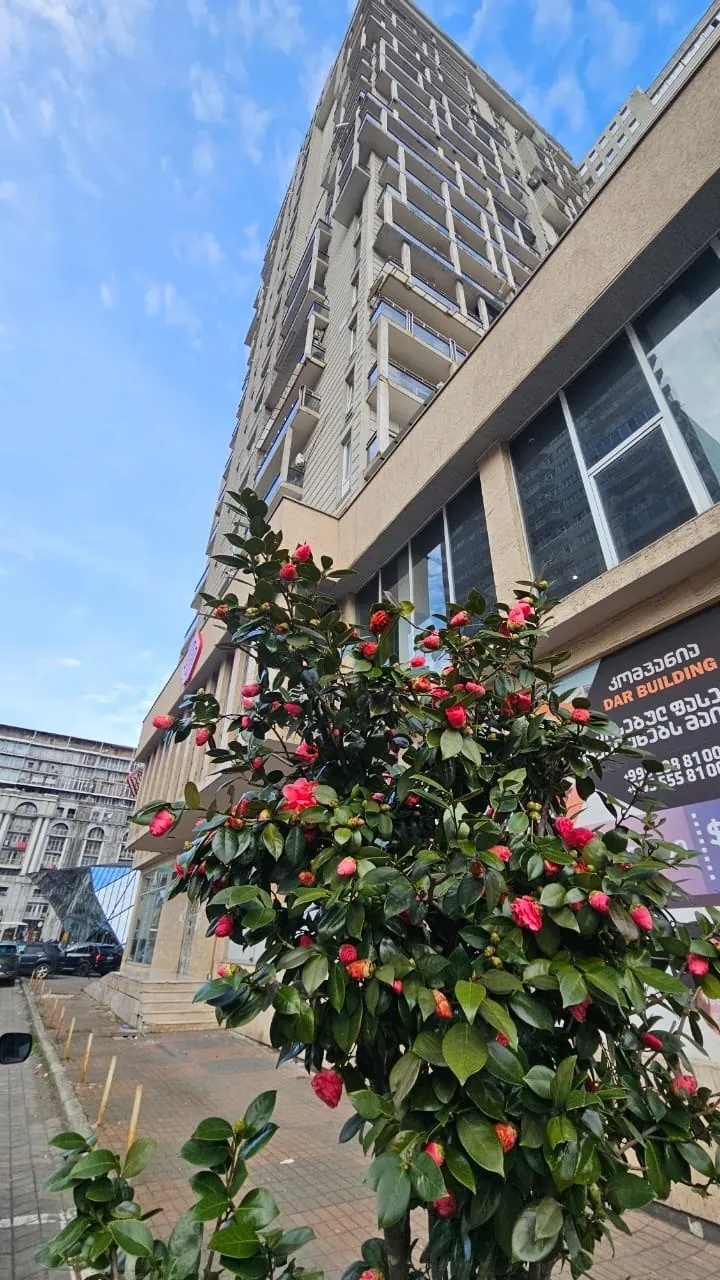 Квартира 65 м² с видом на море в Батуми 1