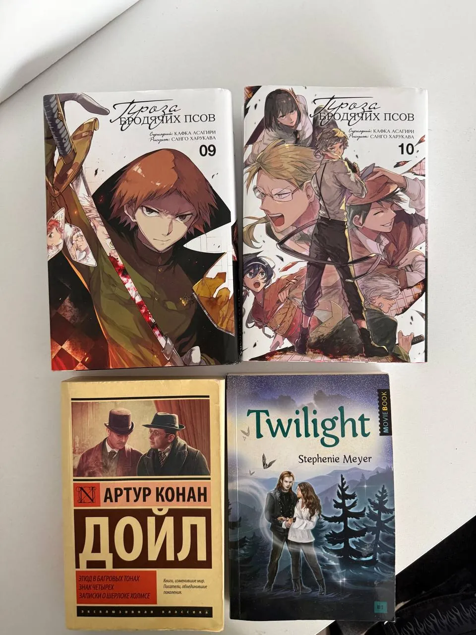 Книги, включая мангу 1