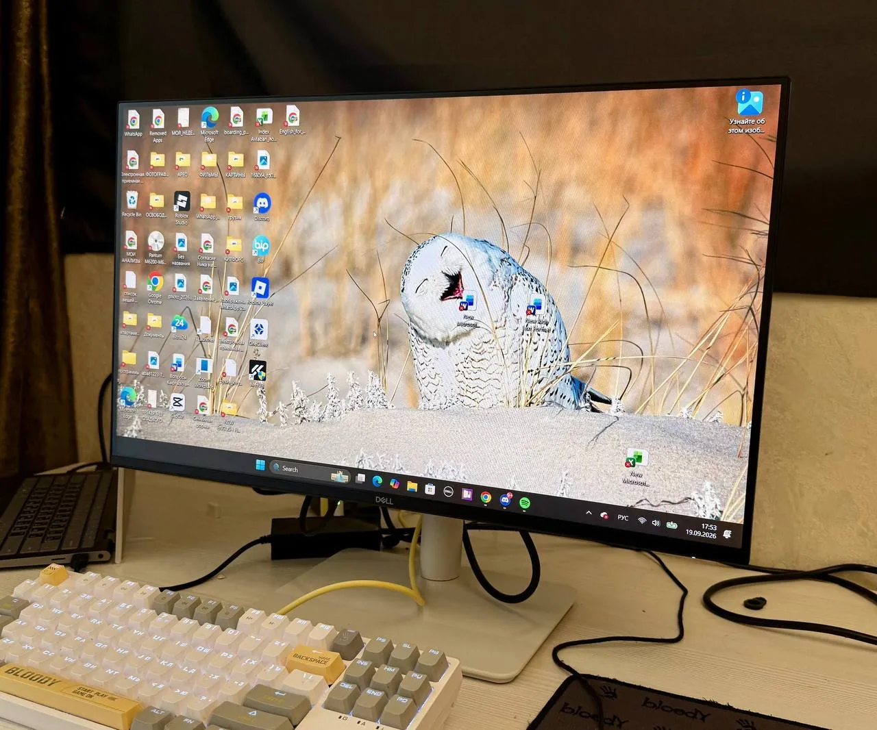 Монитор Dell и клавиатура Bloody S87 1