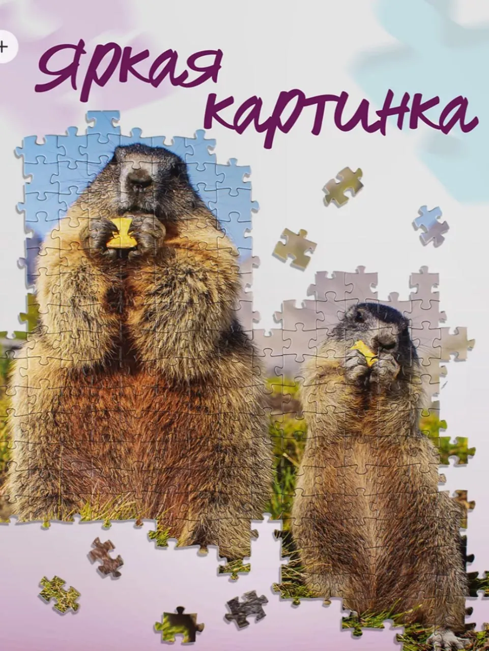 Пазл Step Puzzle «Сурки», 500 деталей 4