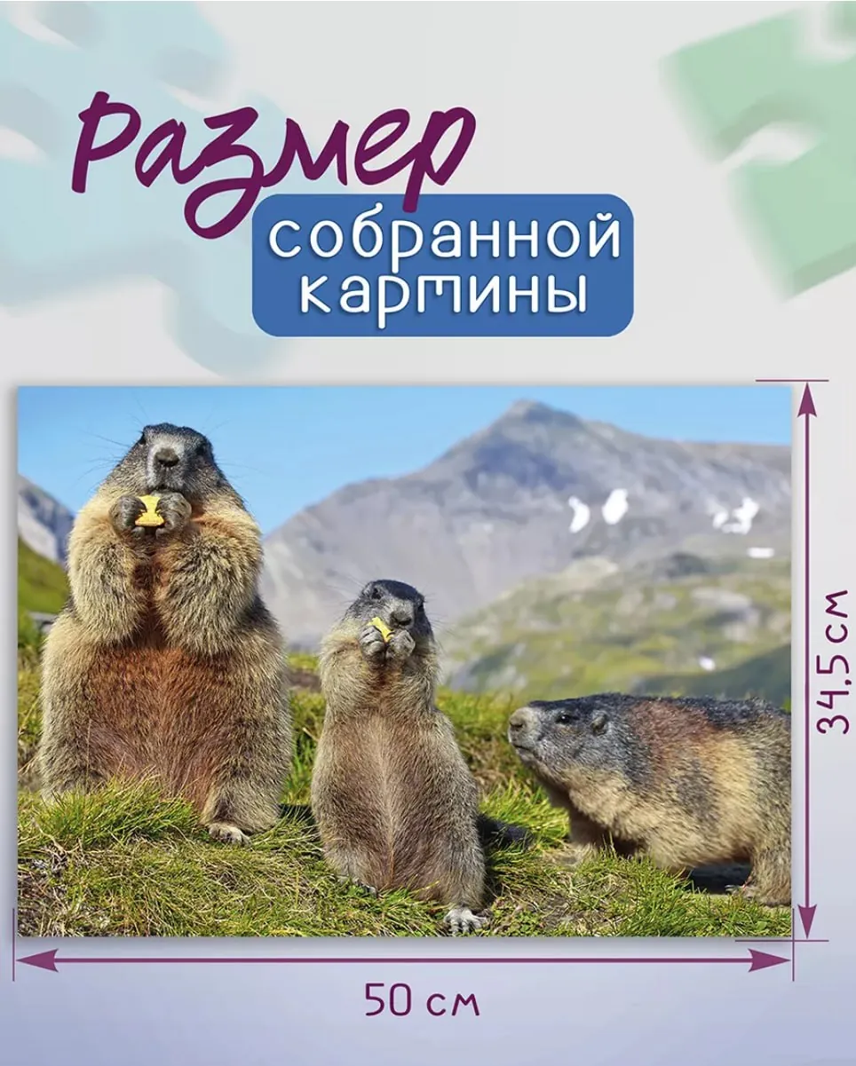 Пазл Step Puzzle «Сурки», 500 деталей 2