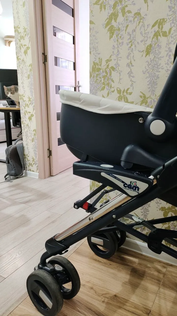 Коляска Cam il Mondo del Bambino 2 в 1 4